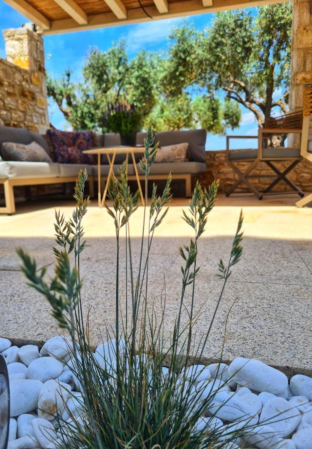 Teresa Luxury Daire