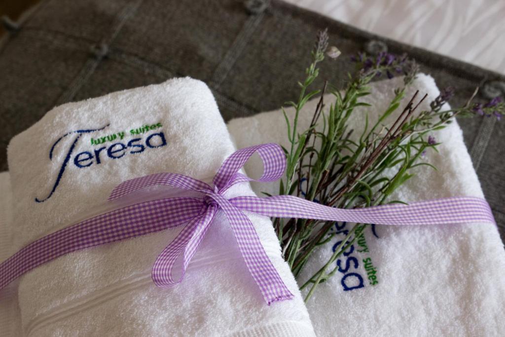 Teresa Luxury Daire *